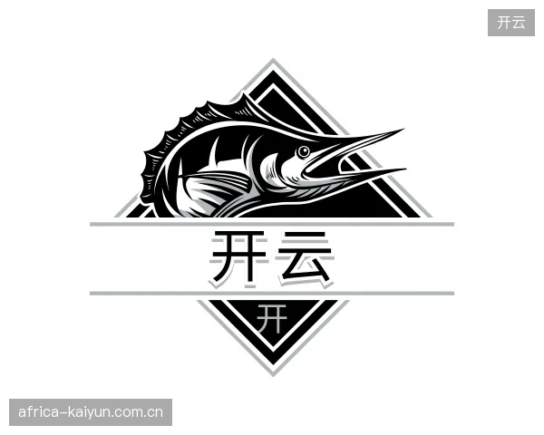 解读开云官方网站